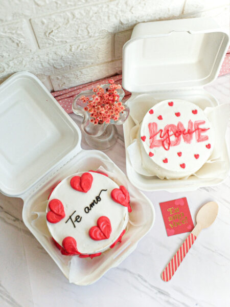 BENTO CAKE 1