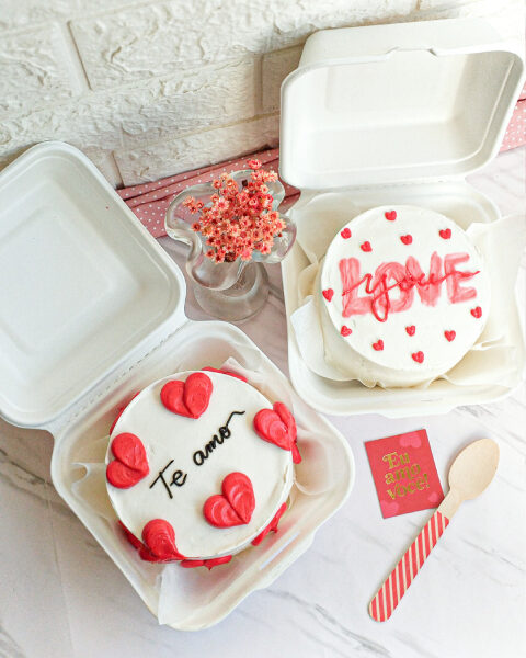 BENTO CAKE 1